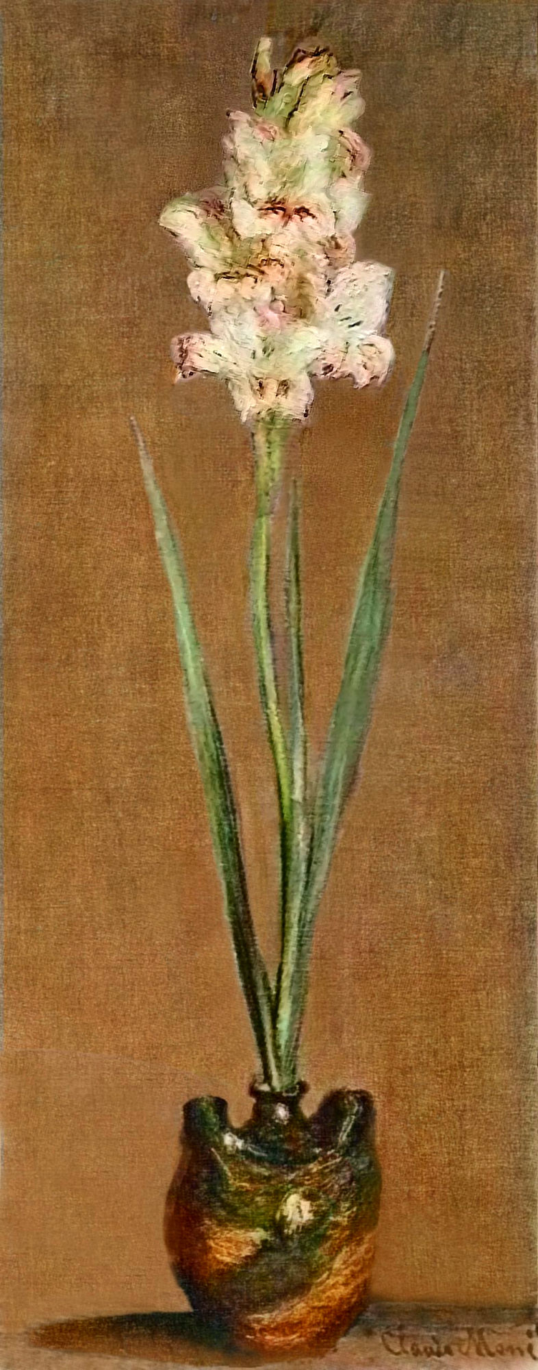 Gladiolus 1881